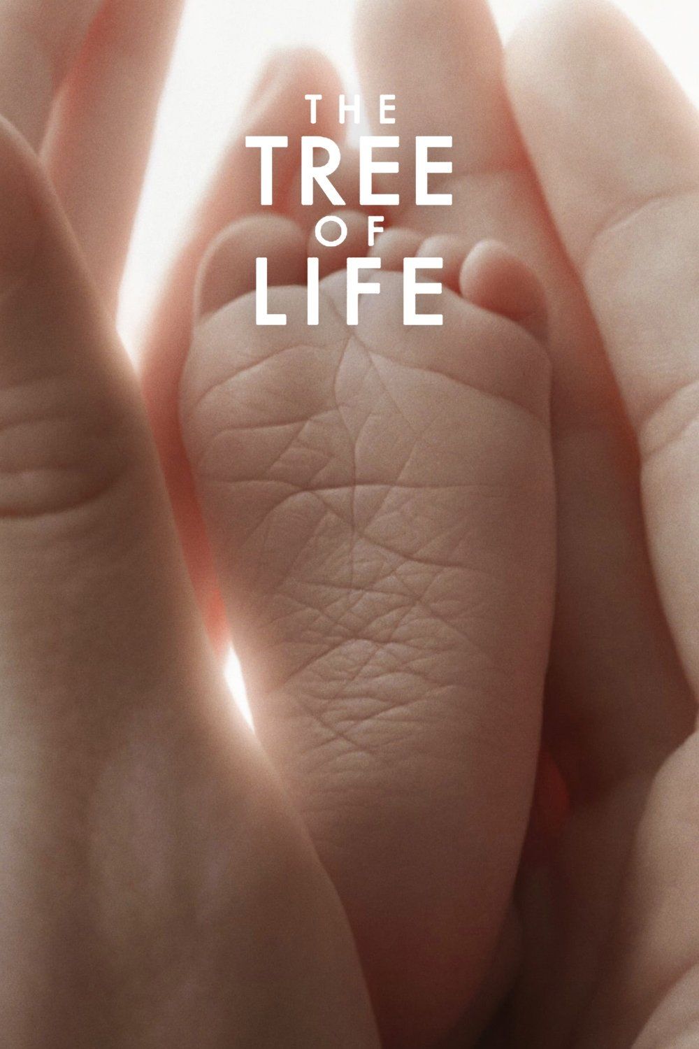 The Tree of Life – Poster
