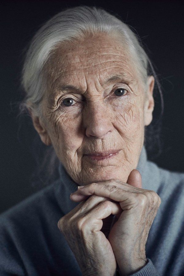 Jane Goodall – Foto